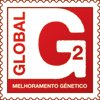 A Marca OB é Certificada com o Selo Global G2 - Saiba mais..