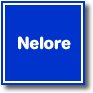 Touros Nelore